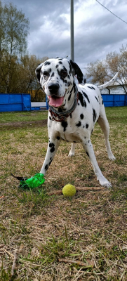 Jessy playing